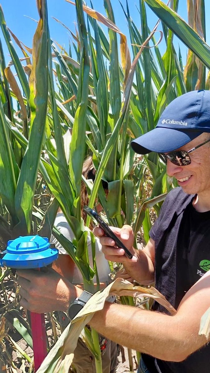 Phytech - Plant Based Farming tweet media