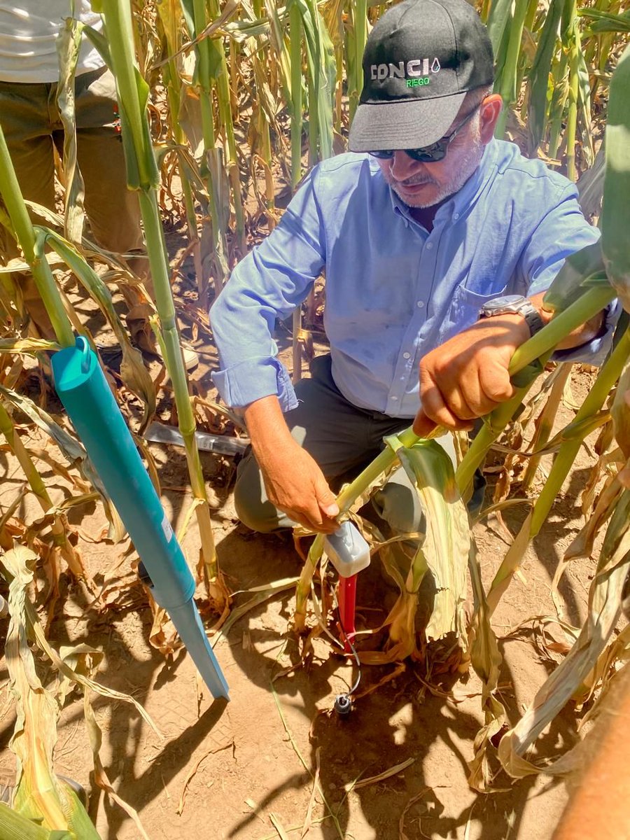 Phytech - Plant Based Farming tweet media