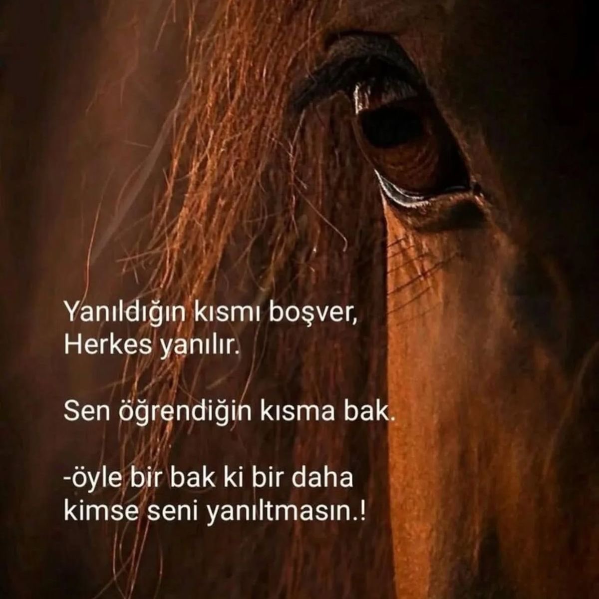 Zuhal (@parlayanyildz) on Twitter photo 