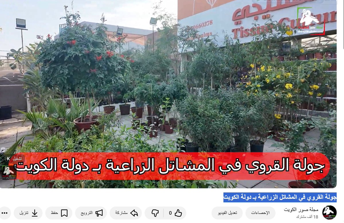 شاهد #جولة_القروي في #المشاتل_الزراعية بـ دولة #الكويت في قناة المجلة في اليوتيوب.

الأشجار 
الأسمدة 
المستلزمات الزراعية
شبكات الري

مدة الفيديو ساعة

youtube.com/watch?v=gVq_Q-…