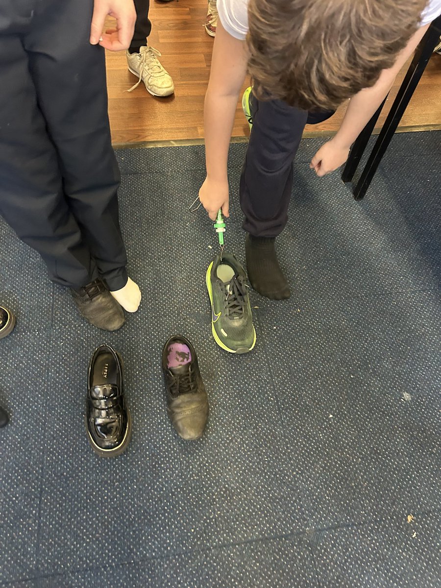 Our Lady of Muswell Primary School tweet media