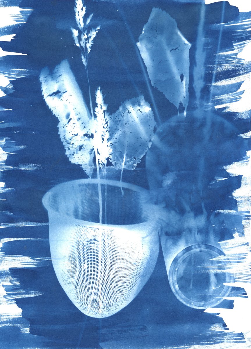 cosmeandaluz's tweet image. Perspectivas Químicas I, II, III were created during Cyanotype workshop at Art Residency at @BosqueGracias 26.
So much love, care and techniques, feeling at home rn. 

Link to the collection: objkt.com/collections/KT…