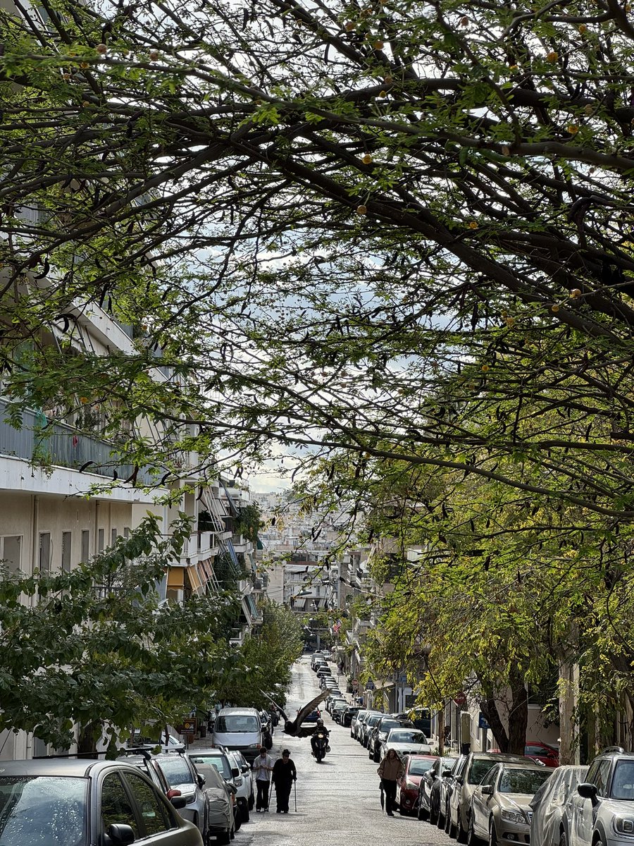 tomiip4's tweet photo. Get lost in the street of Athens 🇬🇷 https://t.co/brkuw4gKX2