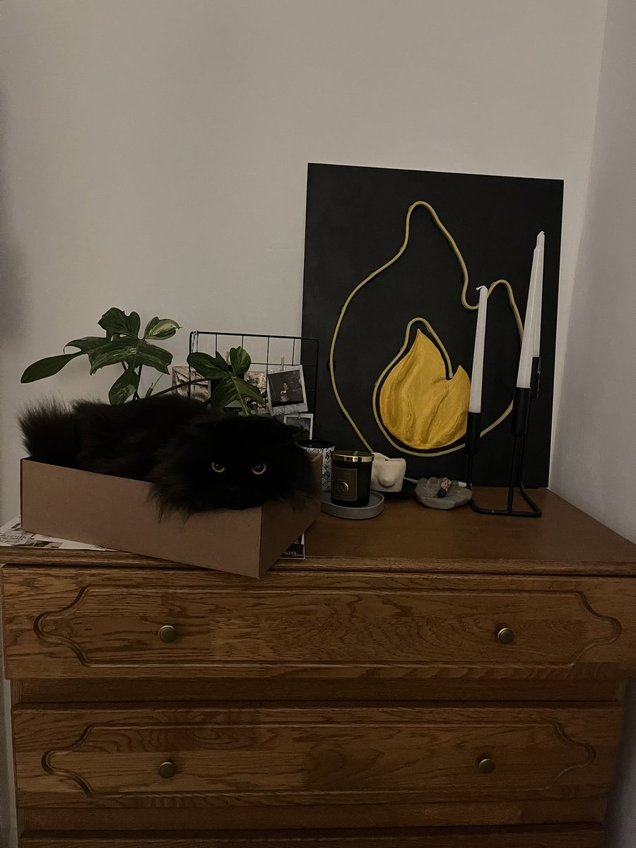 Kristian Diary ⋈ tweet media