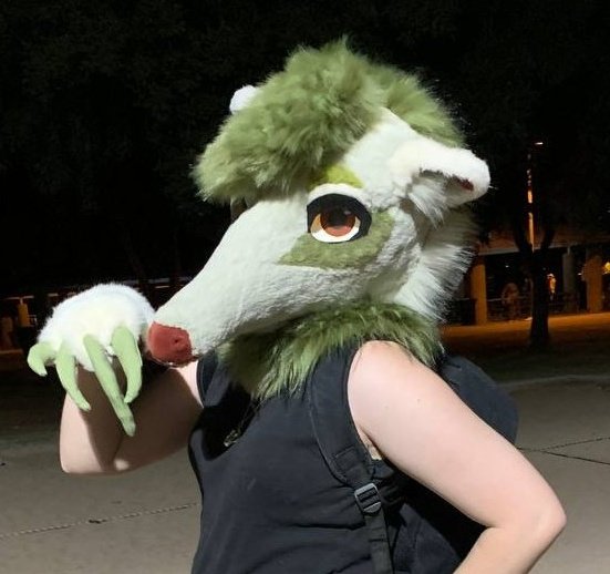 Salsa the Giant Anteater tweet media