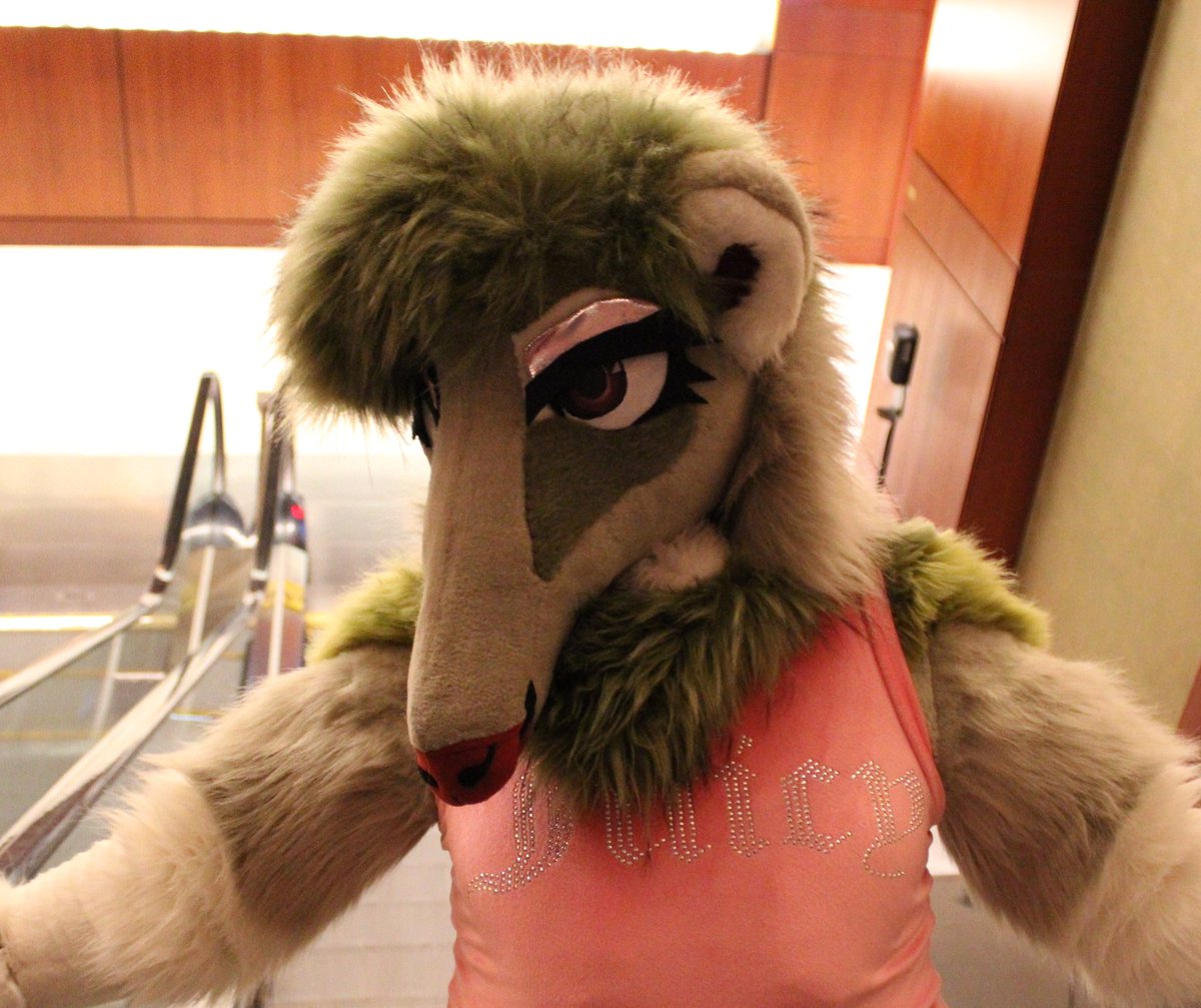 Salsa the Giant Anteater tweet media