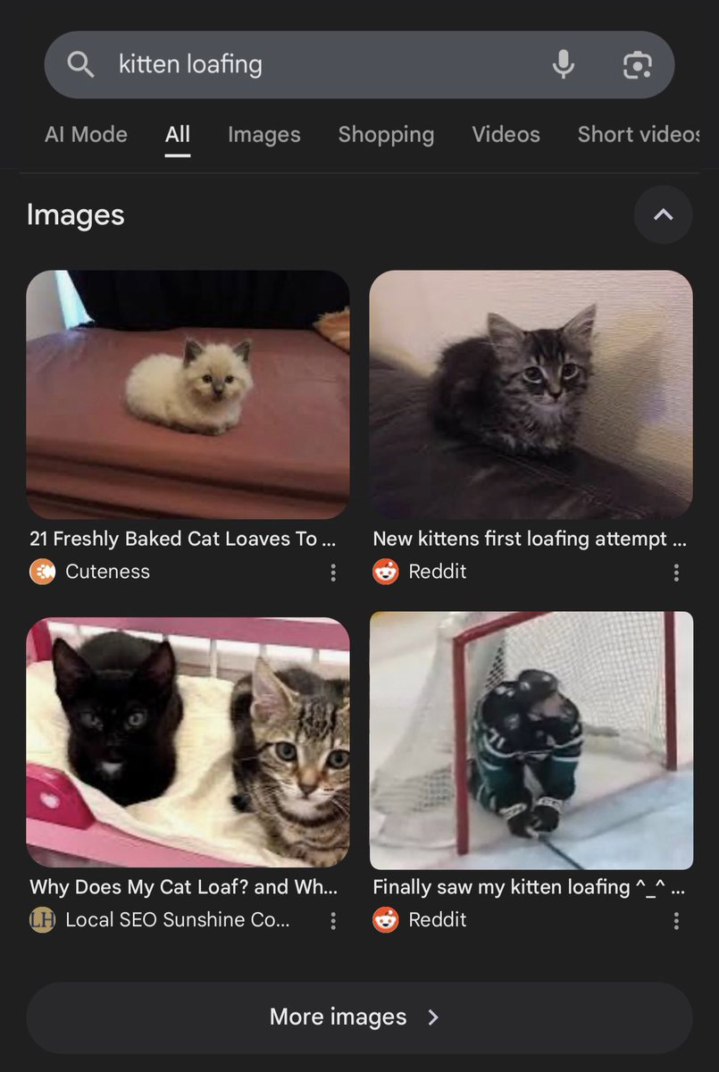 elli 🌟 (@2025wcc) on Twitter photo 