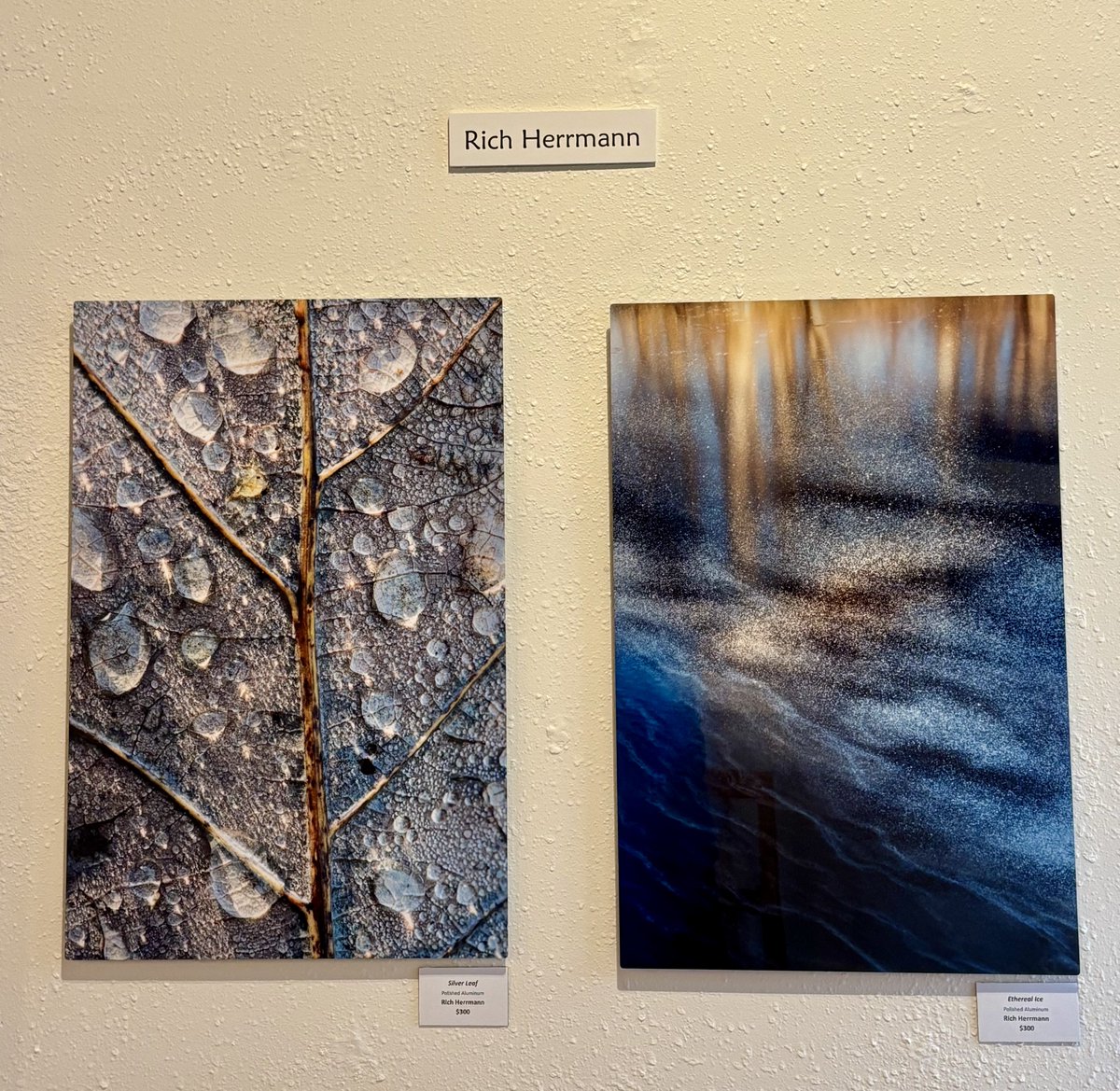 Rich Herrmann Creates! 🌎 Lens-Based Artist tweet media