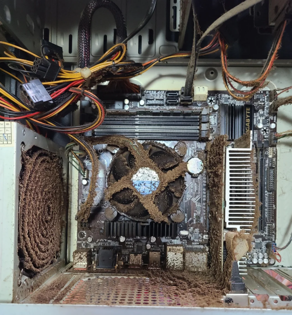 Overclockers UK tweet media