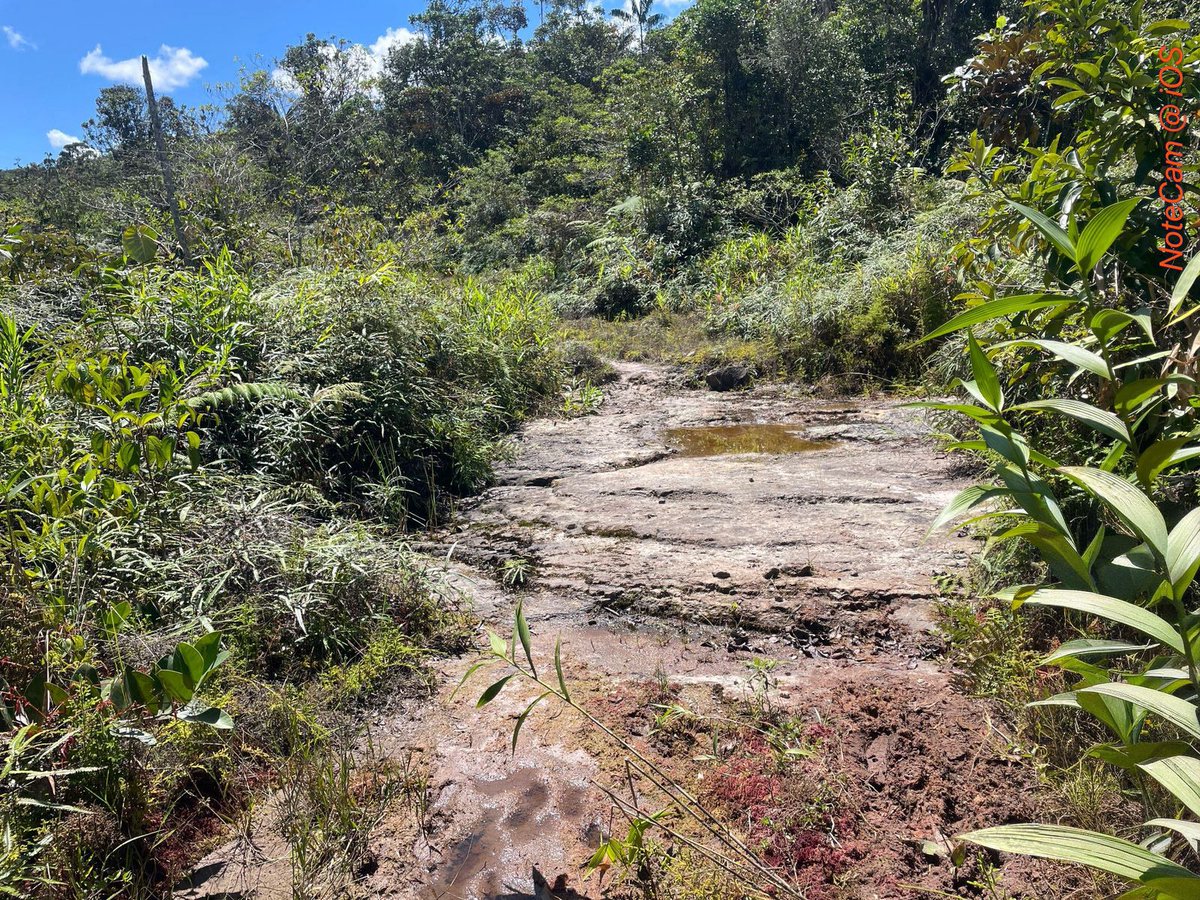 ARCOM_Ecu's tweet photo. 🚨 ARCOM y Fuerzas Armadas realizaron una inspección por amparo administrativo en Tundayme, Zamora Chinchipe.
⚒️ Actividad minera verificada
🌱 Afectaciones ambientales identificadas
📋 Control y seguimiento técnico
#ARCOM #MineríaResponsable #ControlMinero #ZamoraChinchipe https://t.co/ogkxtCYwCk