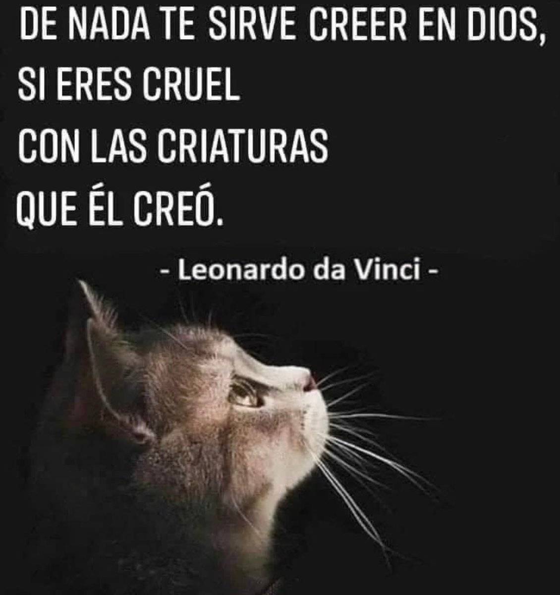 PerroUsuario's tweet image. Así, tal cual