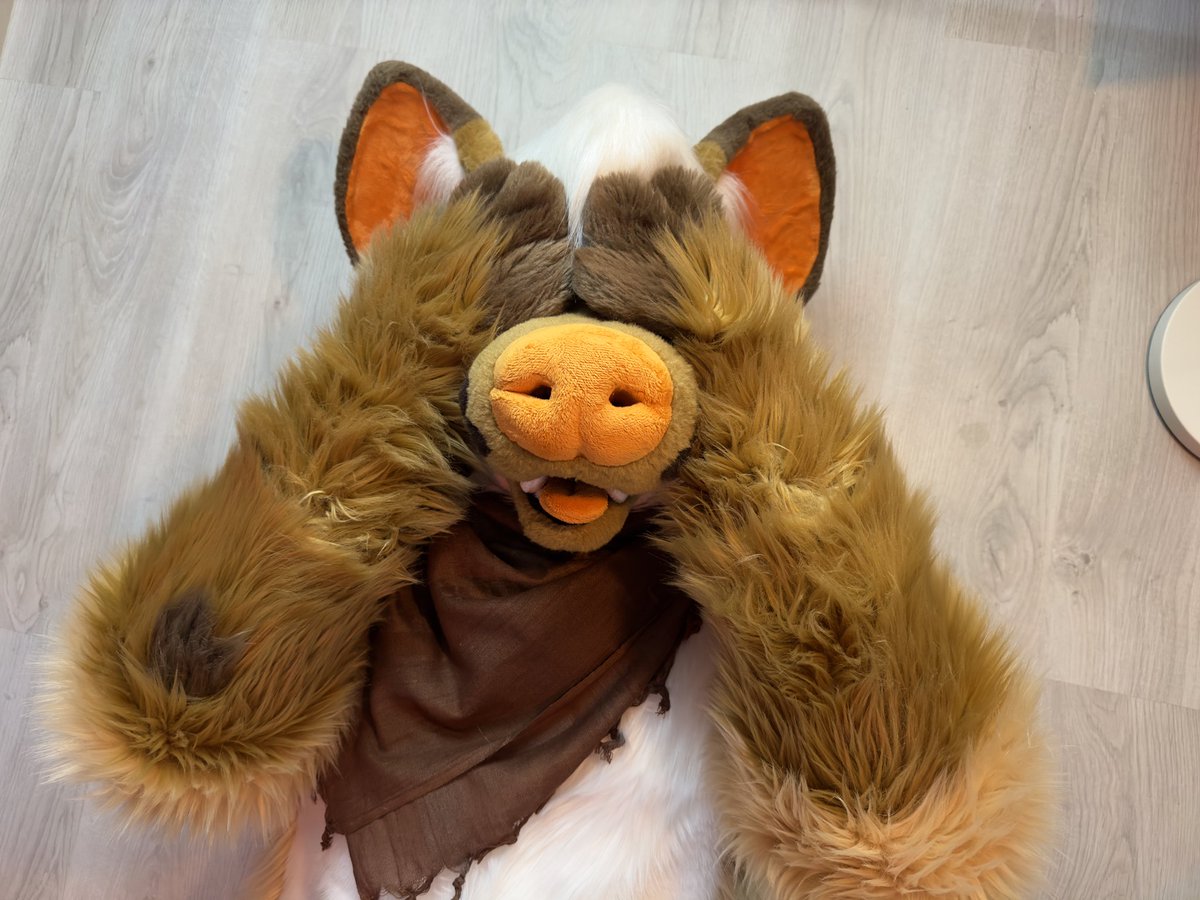 Warmik Yeen tweet media