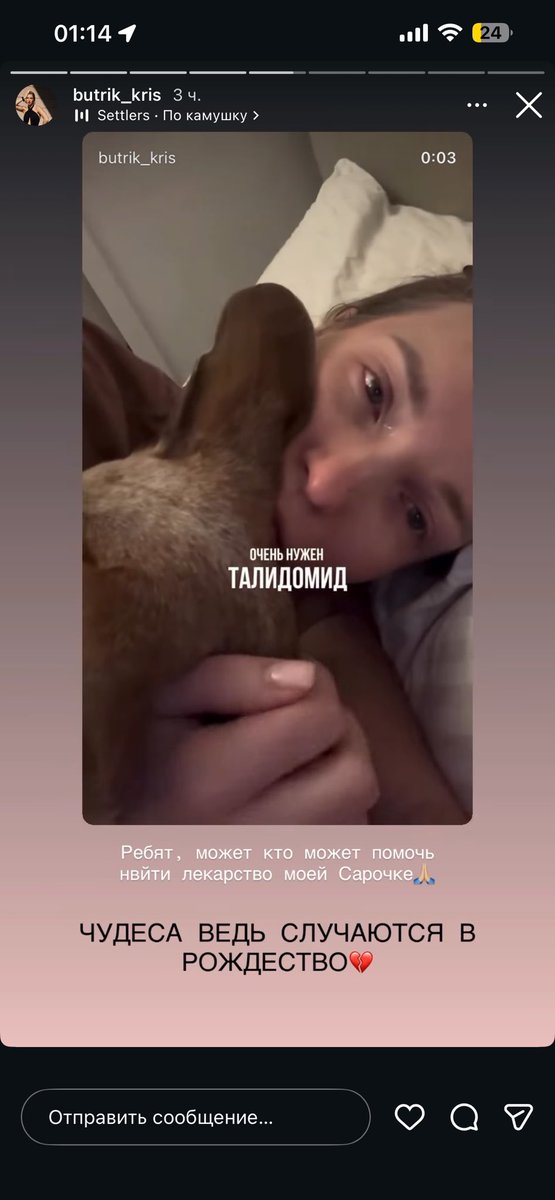 nezderoff's tweet image. У моей подруги умирает собака, для её жизни необходимо человеческое лекарство ТАЛИДОМИД. Если у вас есть какие-то связи или остатки этого лекарства - напишите пожалуйста мне