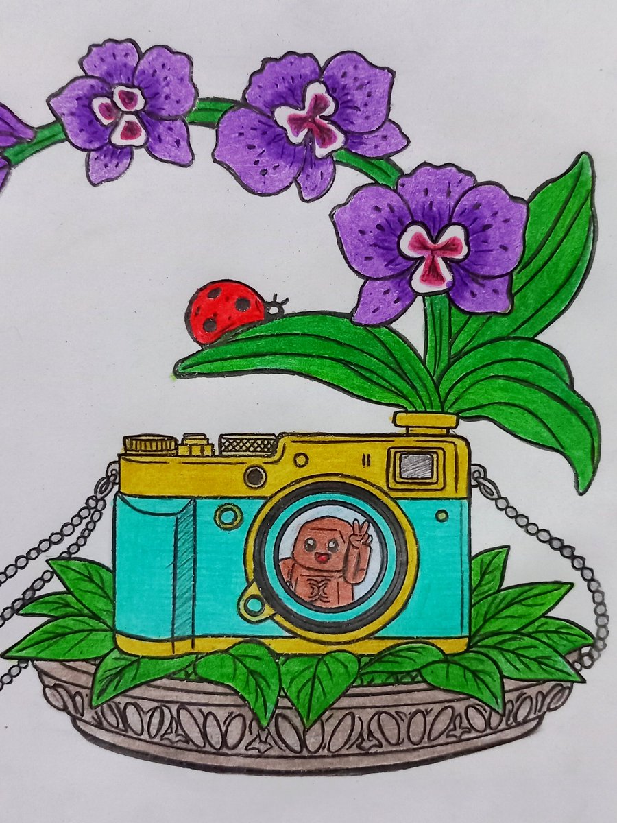 ๐ฌ๐๐๐๐๐ชธ ๐ tweet media