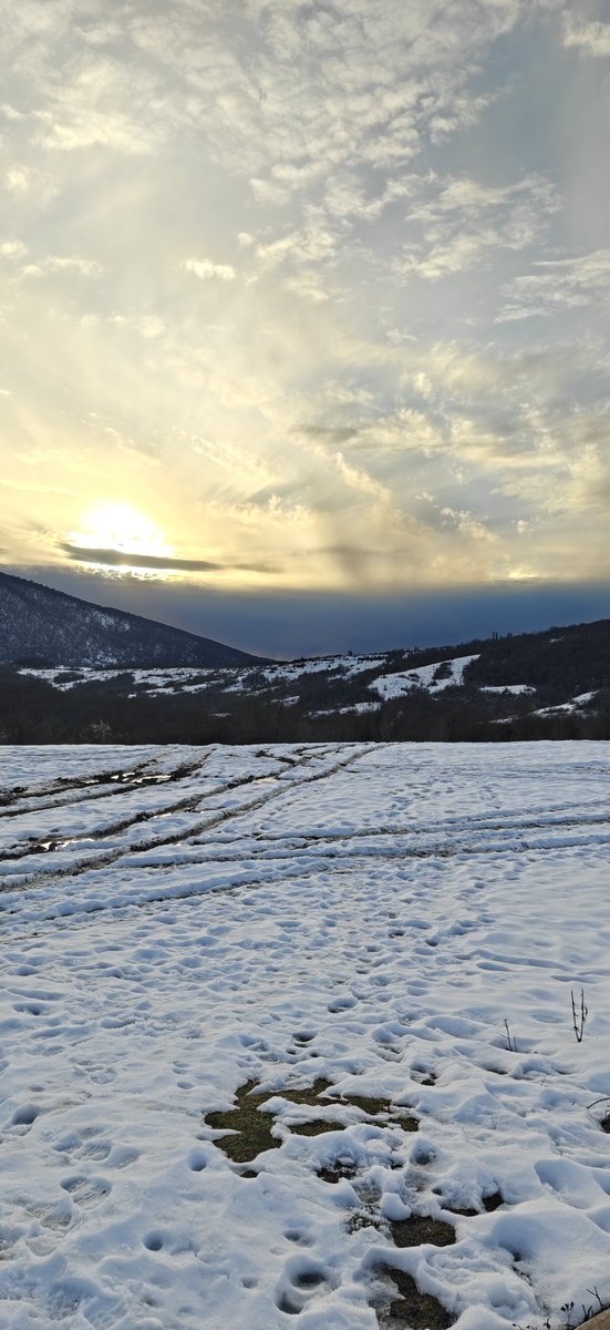 termob83's tweet image. 