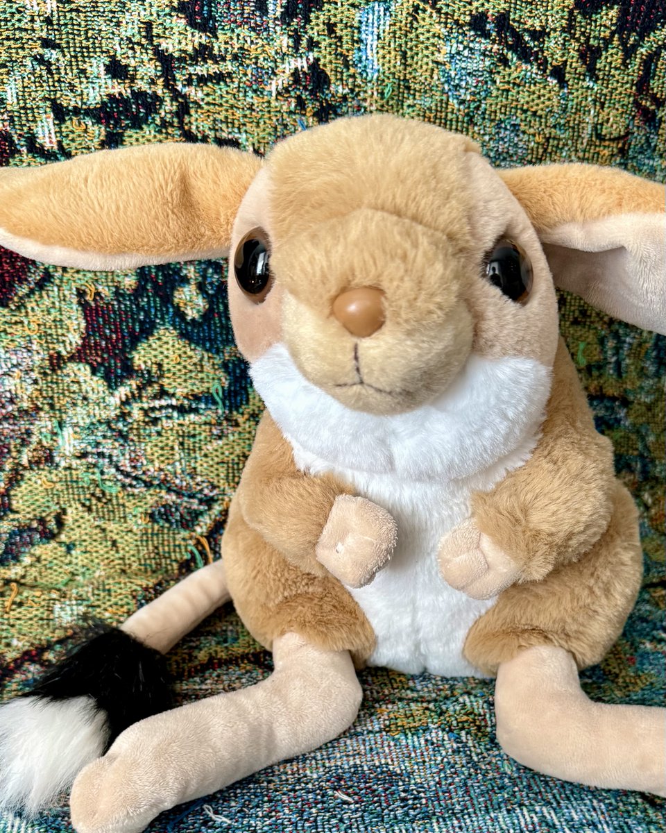 Jerboa Lit tweet media