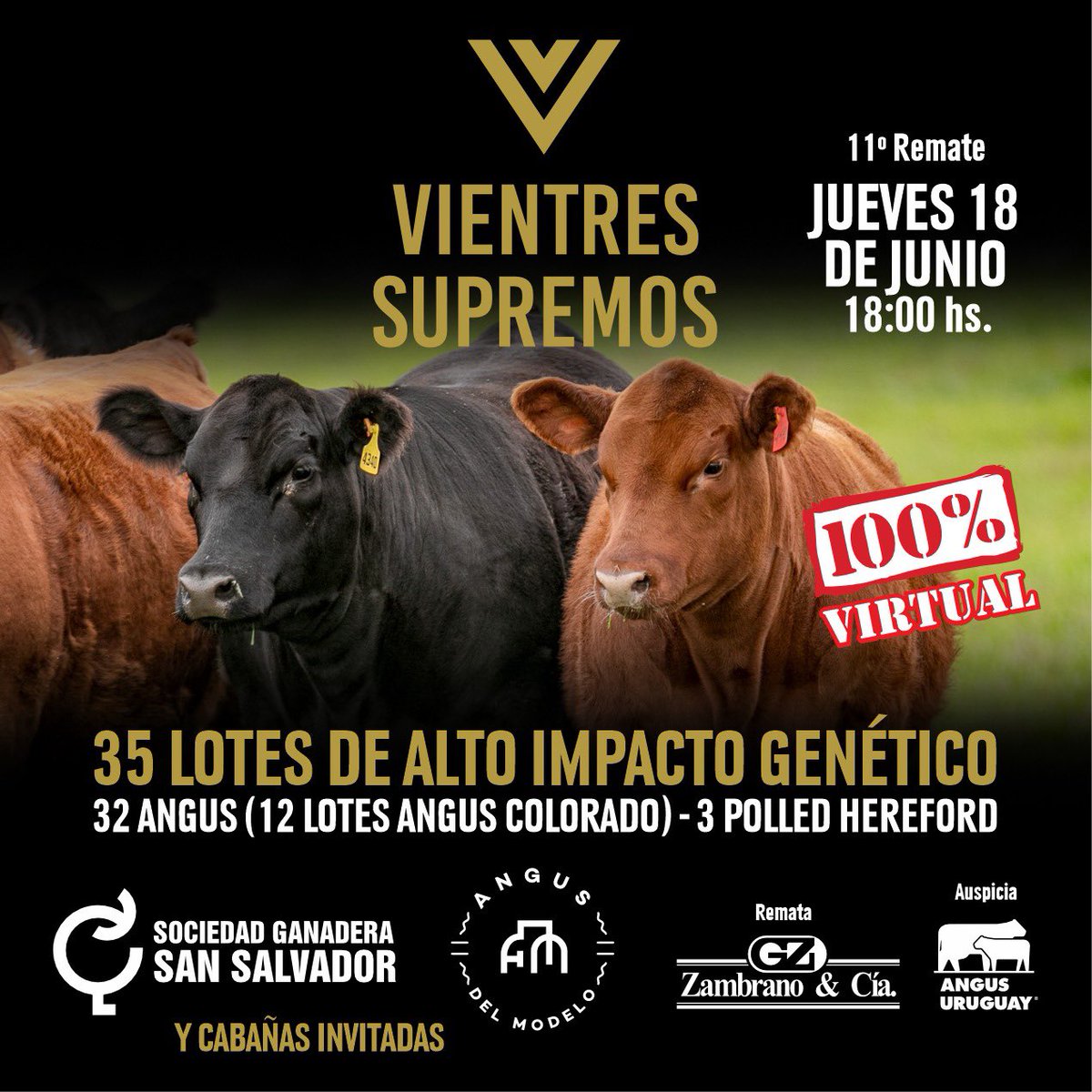 AngusDelModelo's tweet image. 🗓️Save the date: jueves 18 de junio 

𝐕𝐈𝐄𝐍𝐓𝐑𝐄𝐒 𝐒𝐔𝐏𝐑𝐄𝐌𝐎𝐒 🔥

🔨 @zambranocia 

 📢 @angusuruguay