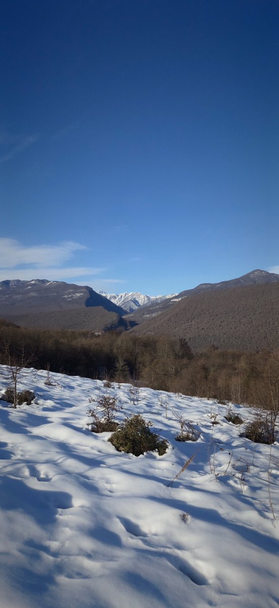 termob83's tweet image. Caucasus Christmas