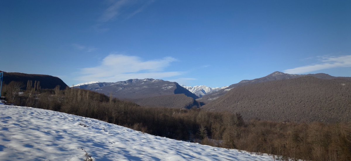 termob83's tweet image. 