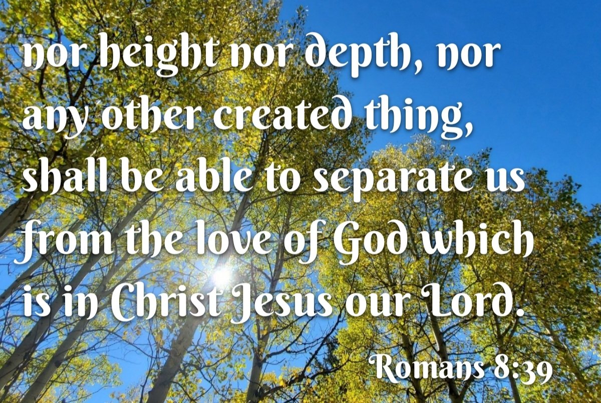 invasion2020's tweet image. Rooted and bonded in Christ, we are secure!