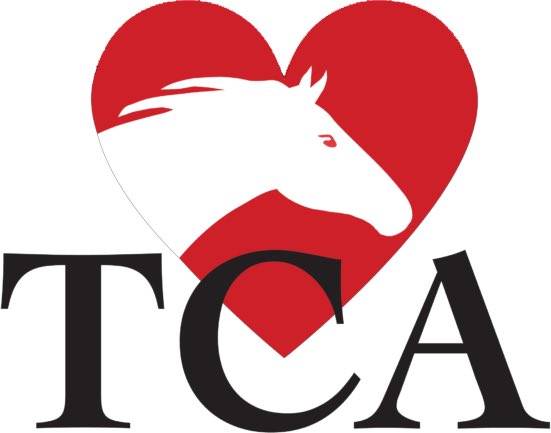 Top Line Sales tweet media