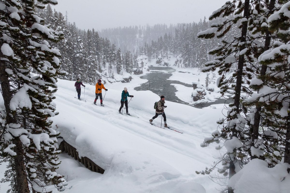 Explore Nature tweet media