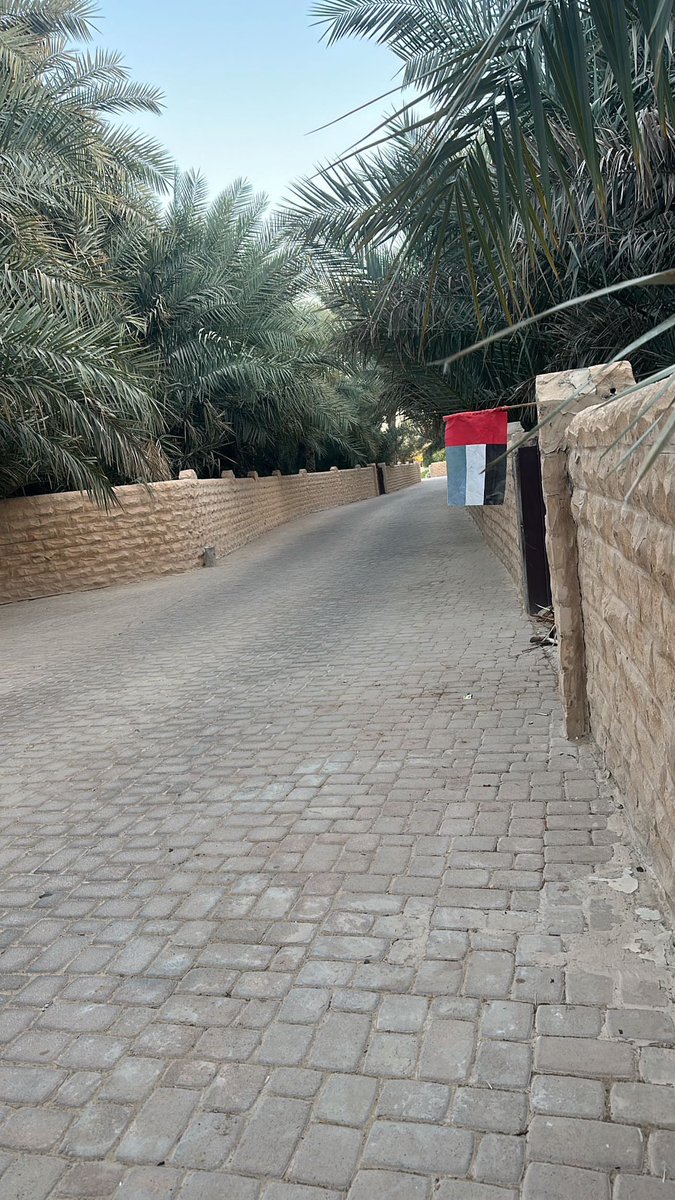Ebinshmal's tweet photo. يمتدّ الدربُ كحكايةٍ قديمة،
حجارةٌ تحفظ خُطى العابرين،
وجدرانٌ من حجر تشبه الذاكرة…
صامدة، صامتة، لكنها تعرف كل شيء.

وعلى الجدار…
يرفرف العلم،
لا كرايةٍ فقط،
بل كنبضٍ يقول:
هنا وطنٌ لا يُختصر،
وهنا طريقٌ يعود بك
إلى المستقر 🇦🇪🌴 https://t.co/YVfDnSAgwR