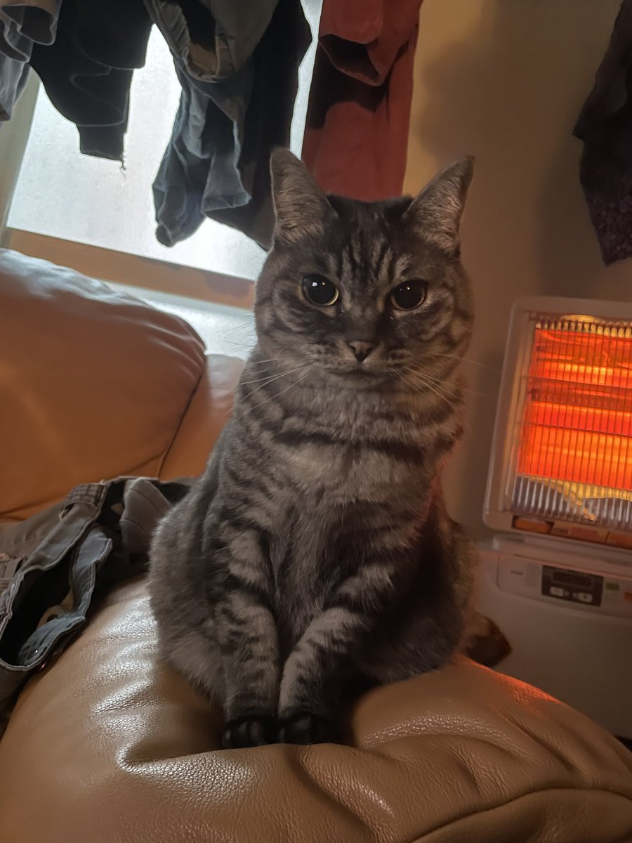 アカネ akane (@k_akn35) / Posts / X