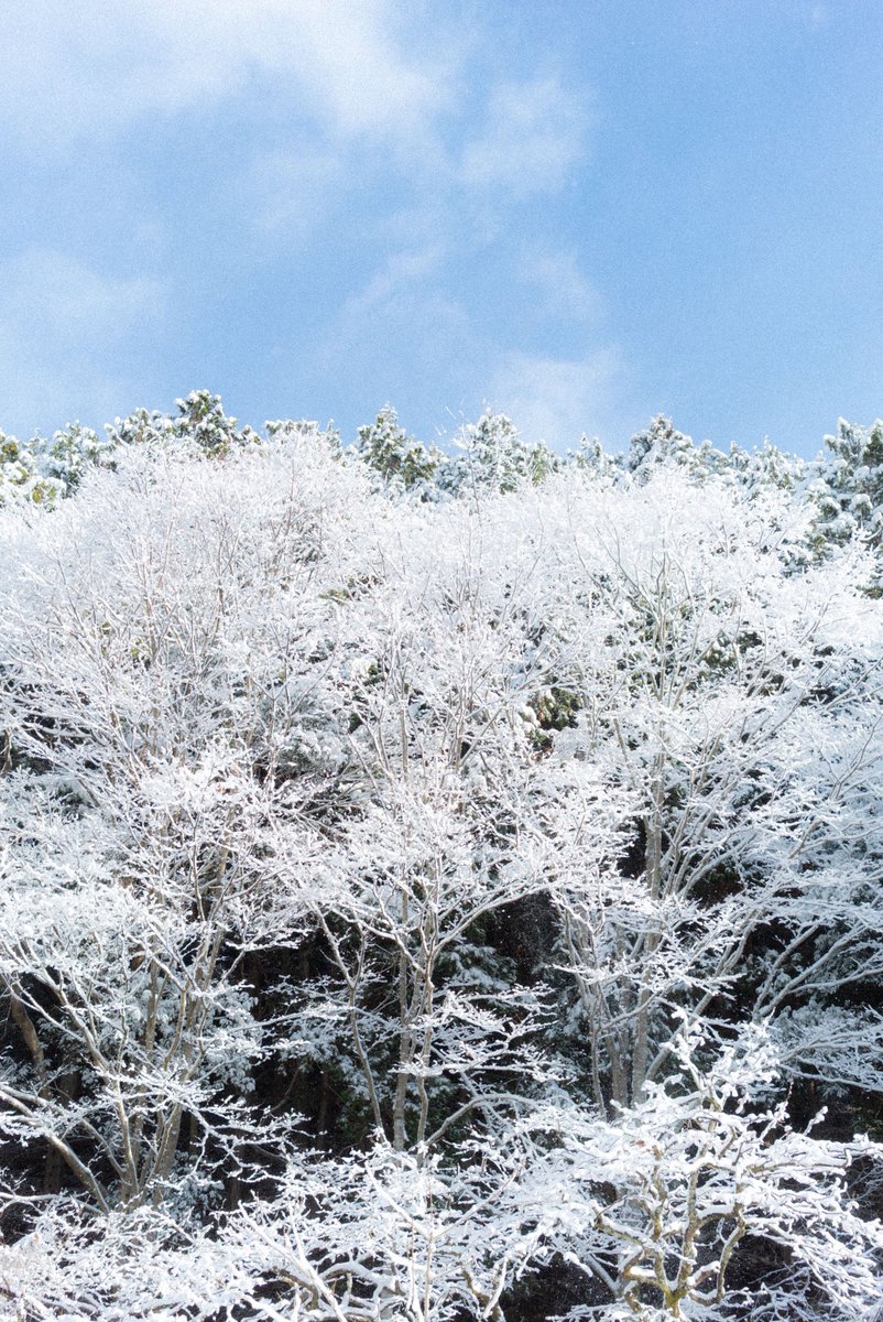 narumi_hand's tweet photo. 明けましておめでとう御座います。 https://t.co/wxJkHvPDxh