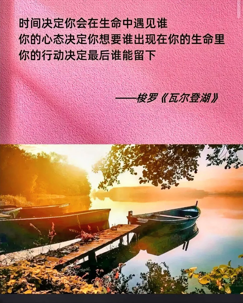 一簇白玫瑰像天堂般的花束一样洒落在午夜的天空中。 壁纸[f6fbcdc6971440f0a142] by Wallpaper HD |  WidgetClub, image size:964x1200