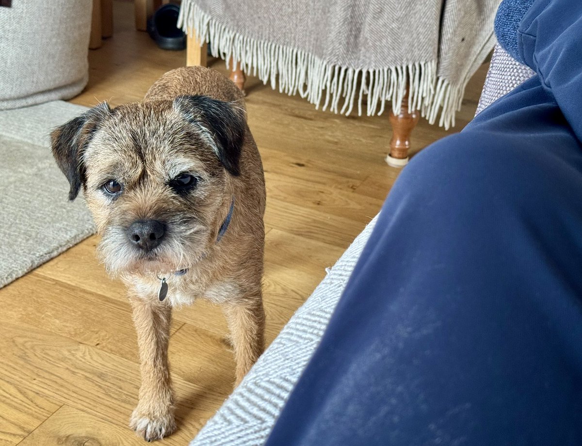 Lord Culter BT 🏴󠁧󠁢󠁳󠁣󠁴󠁿 Order of the IT tweet media