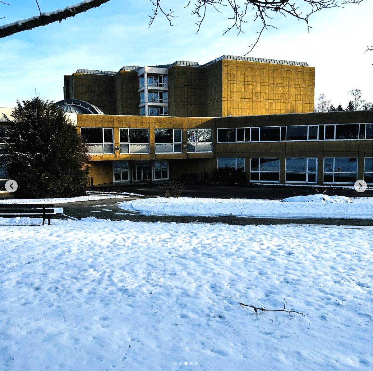 Greg Wolf tweet media