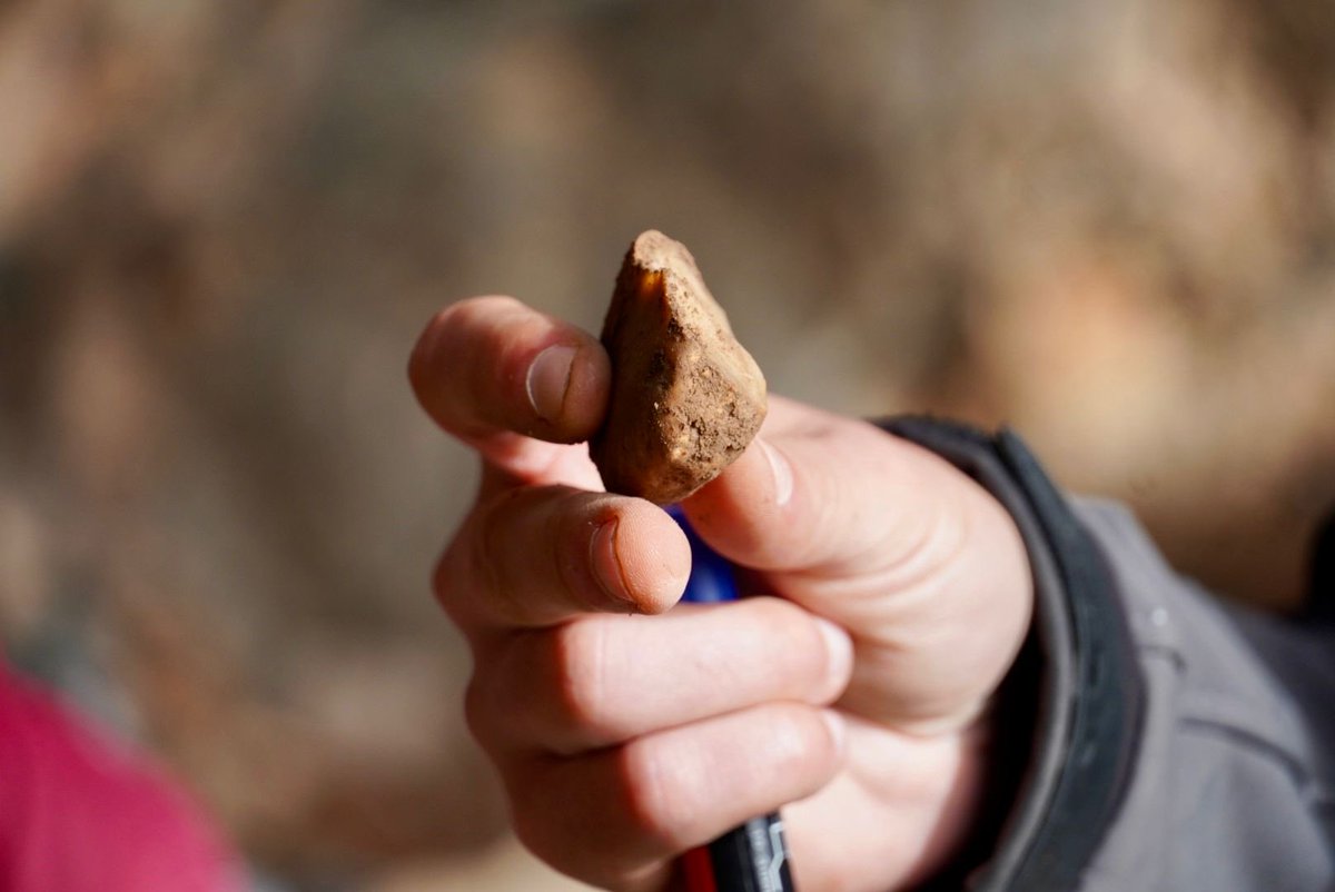 PSantomera's tweet image. Finalizamos una exitosa campaña de excavación en el Abrigo de la Capilla. Aunque aún queda mucho trabajo y recorrido este yacimiento acabará convirtiéndose en un referente a nivel regional y nacional.