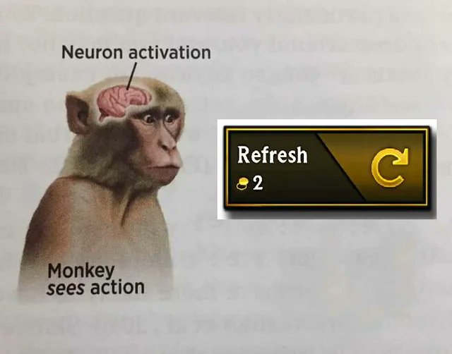 FioraTFT's tweet image. !!!