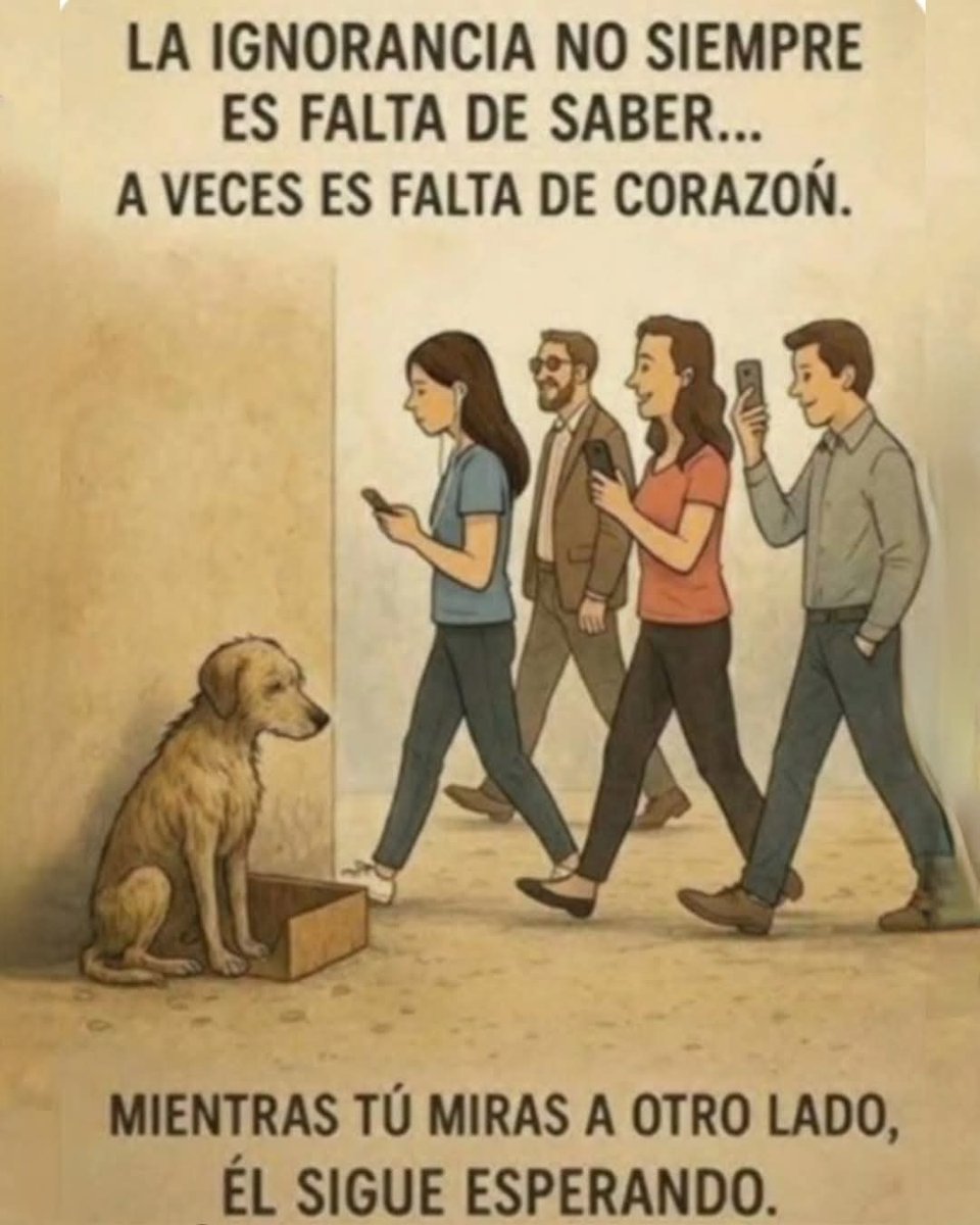 PerroUsuario's tweet image. Cuando eres invisible para muchos... 😔