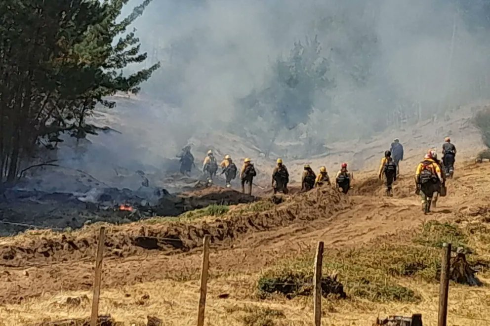 PATAGONIA UNIDA

Acompañamos a Chubut en el combate de los incendios con brigadistas del Sistema Provincial de Manejo del Fuego. Estar presentes es una decisión política: cuidar el ambiente y la vida, sin mirar fronteras.

Con Chubut y Río Negro firmamos un convenio