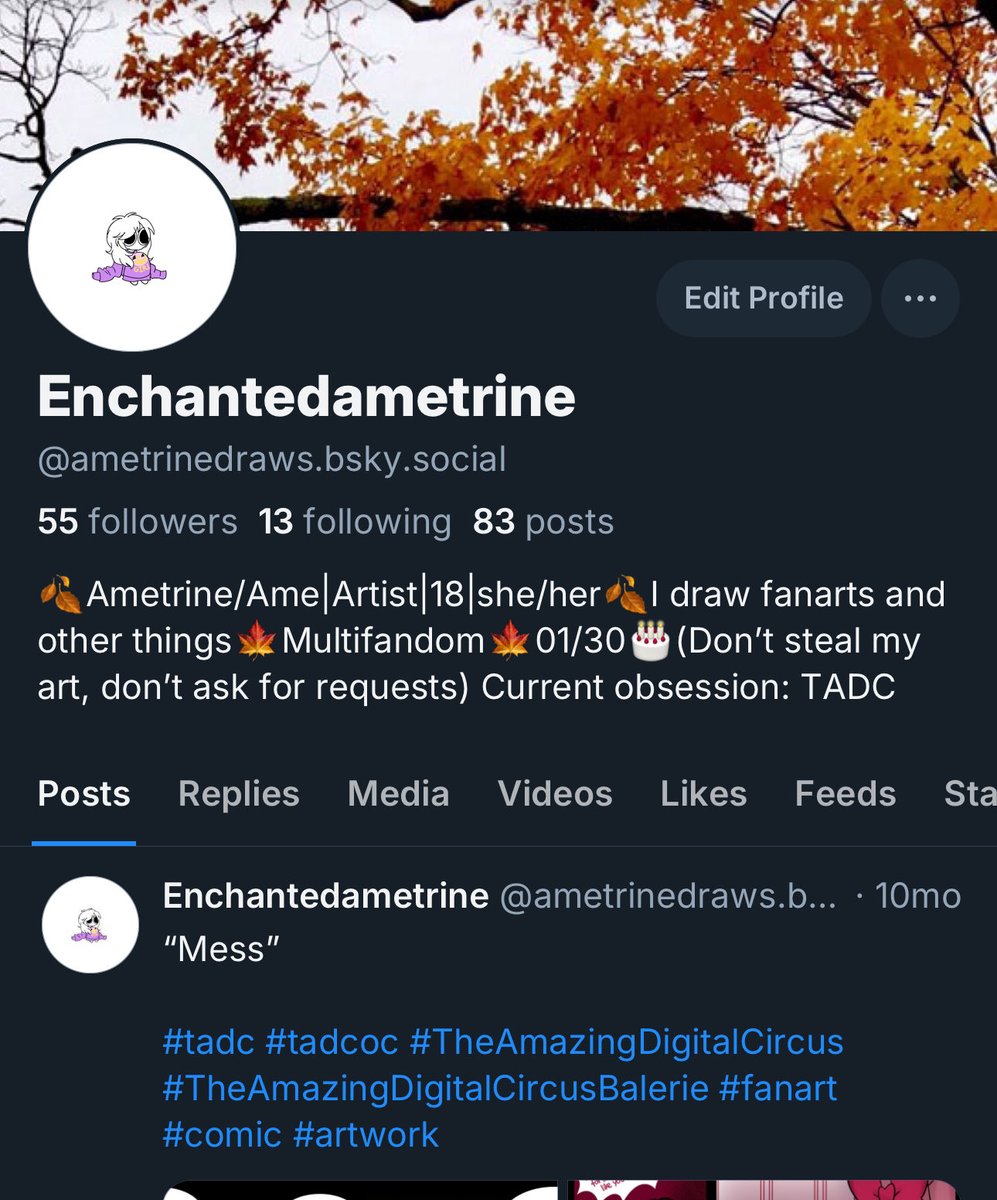 EnchantedAmetrine tweet media