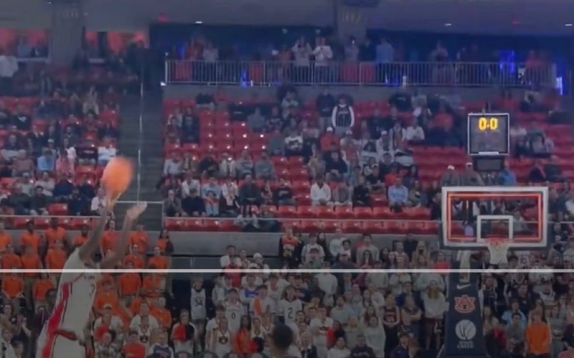 blair forester tweet media