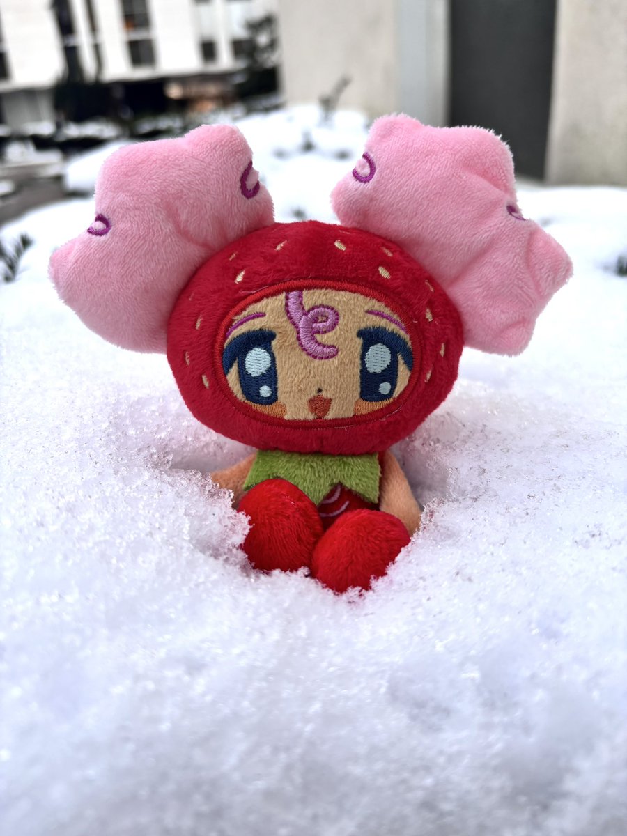 Cambubu in the snow ❄️🌨️