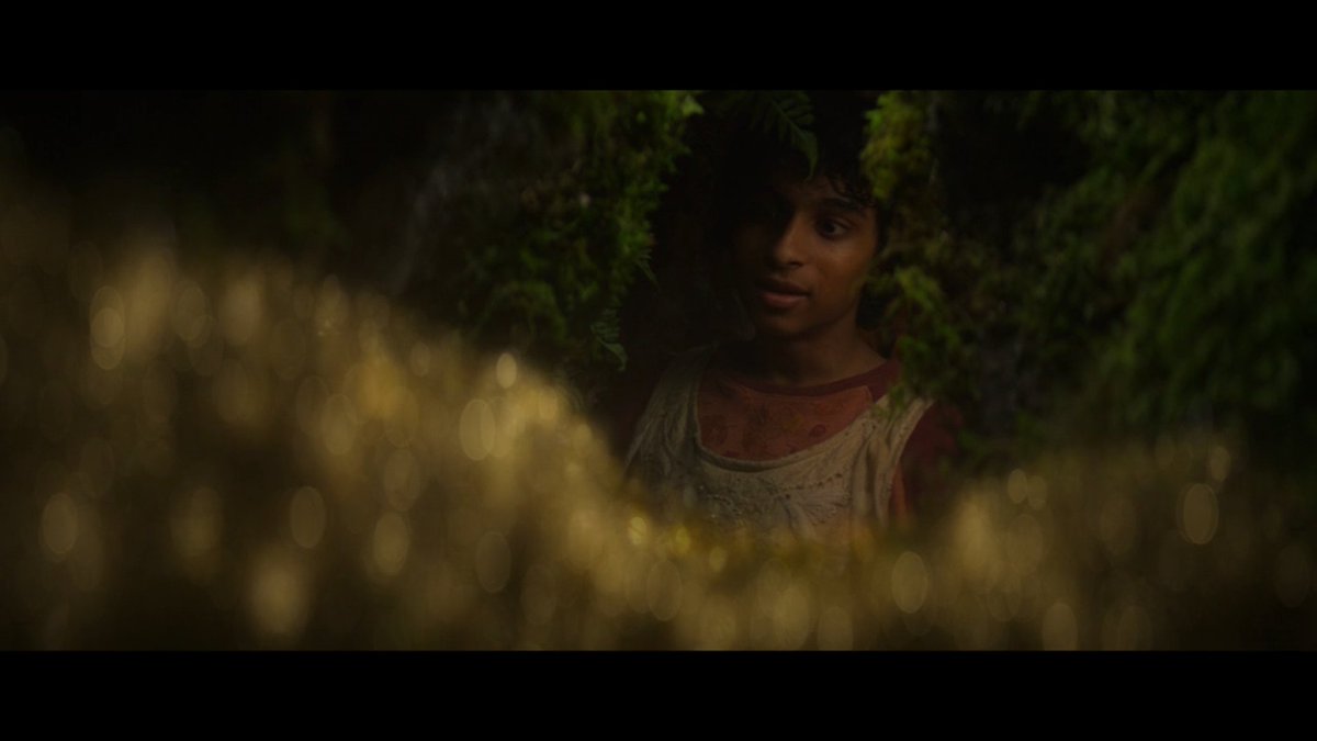 Achou o Velocino de Ouro
Achou Pã
Achou os filhos dos Três Grandes
O Escolhido de Pan
Líder do Conselho dos Anciãos Fendidos
Senhor da Selva

PODE ENTRAR THE GOAT GROVER UNDERWOOD 🐐