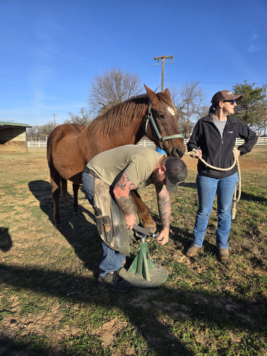 Remember Me tweet media