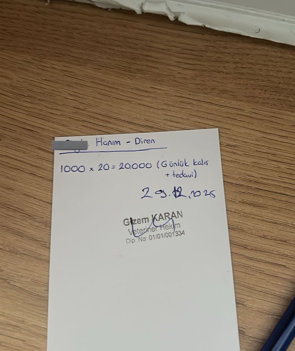 Direnime bakar mısınız yaa, ayakta durmaya başladı kurban olduğum 😭🧿 10 günlük tedaviden sonra 20 gün daha klinikte kalmasına karar verildi. 20bin TL nin 8binini topladık kalan 12bin için desteğe ihtiyacımız var ❤️‍🩹