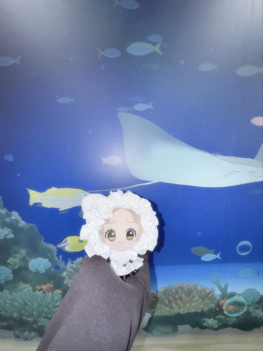 ffe5ff's tweet photo. 🐬🌀 https://t.co/9GYBrK6nyh