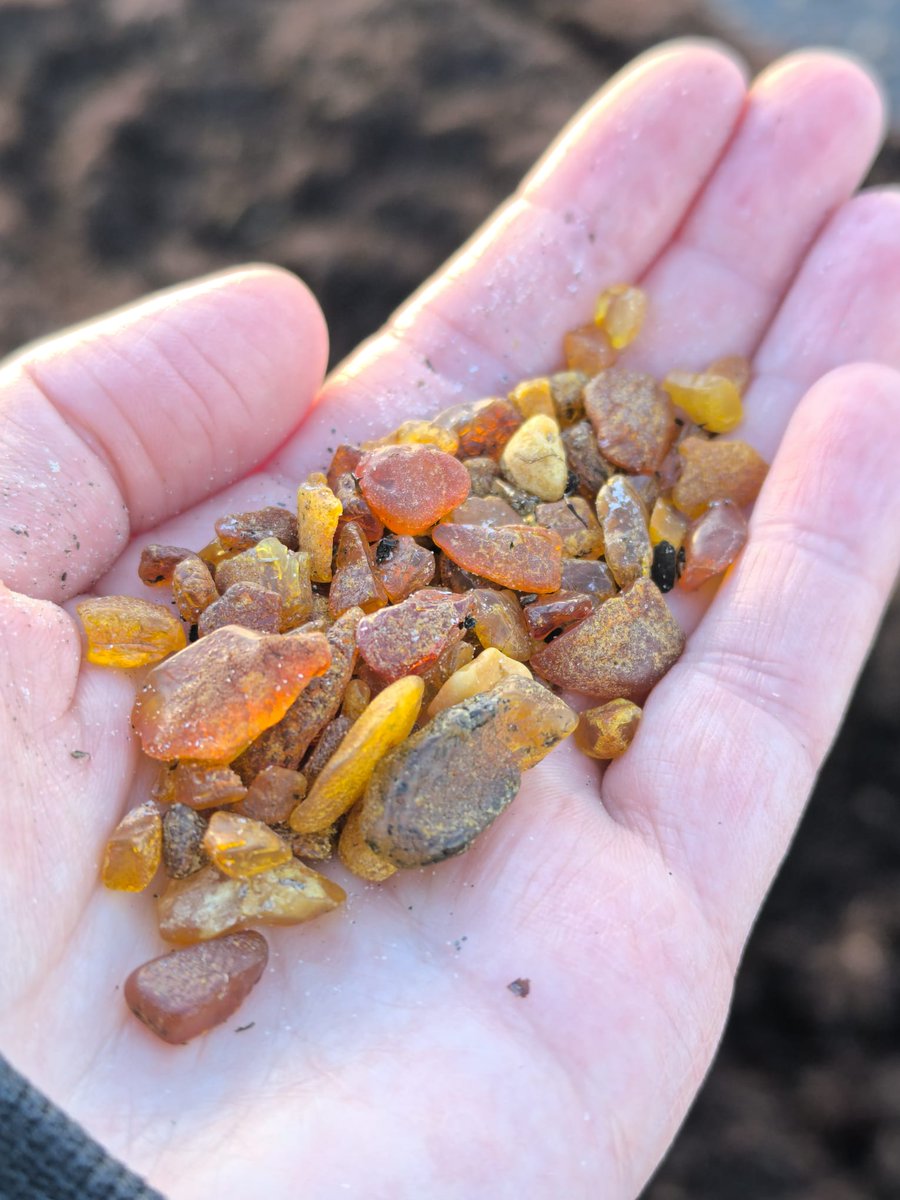 Ja Donam ir 'Māsa upe', tad man ir māsa jūra. Vakarnakt tā ļoooti labi naktī bija dzirdama praktiski bezvējā. Tas nozīmē tikai vienu - dzintars nāk krastā!