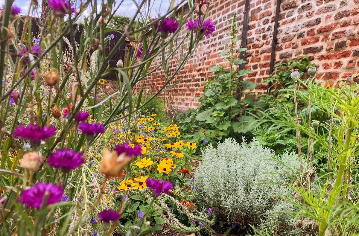 EcoLocal tweet media