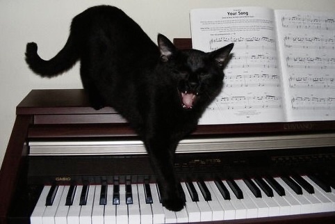 amjustastargirl's tweet image. 