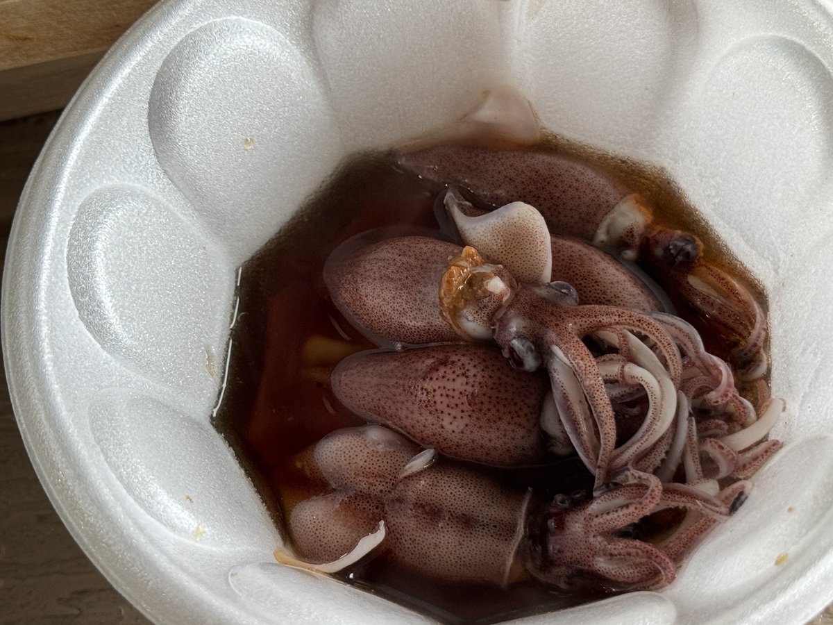 susuki_hozuki's tweet image. ホタルイカのしゃぶしゃぶは時期になると
道の駅ウェブパークなめりかわでサクッ食べられます

トロッととける肝の旨みはボイルでは味わえない、産地で食べる旬の味…

※説明書きの通り決められた時間以上は火を通しましょう