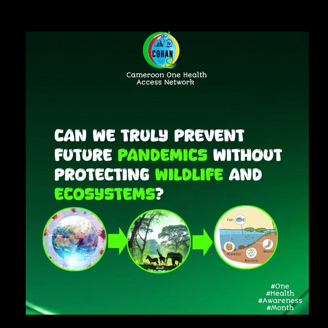 cohan2026's tweet photo. Can we truly prevent future pandemics without protecting wildlife and ecosystems? 🌍
Most emerging diseases begin at the human–animal–environment interface. Destroying nature increases spillover risks. Protecting ecosystems isn’t optional—it’s public health protection.
#OneHealth https://t.co/SBdKZvMNmf