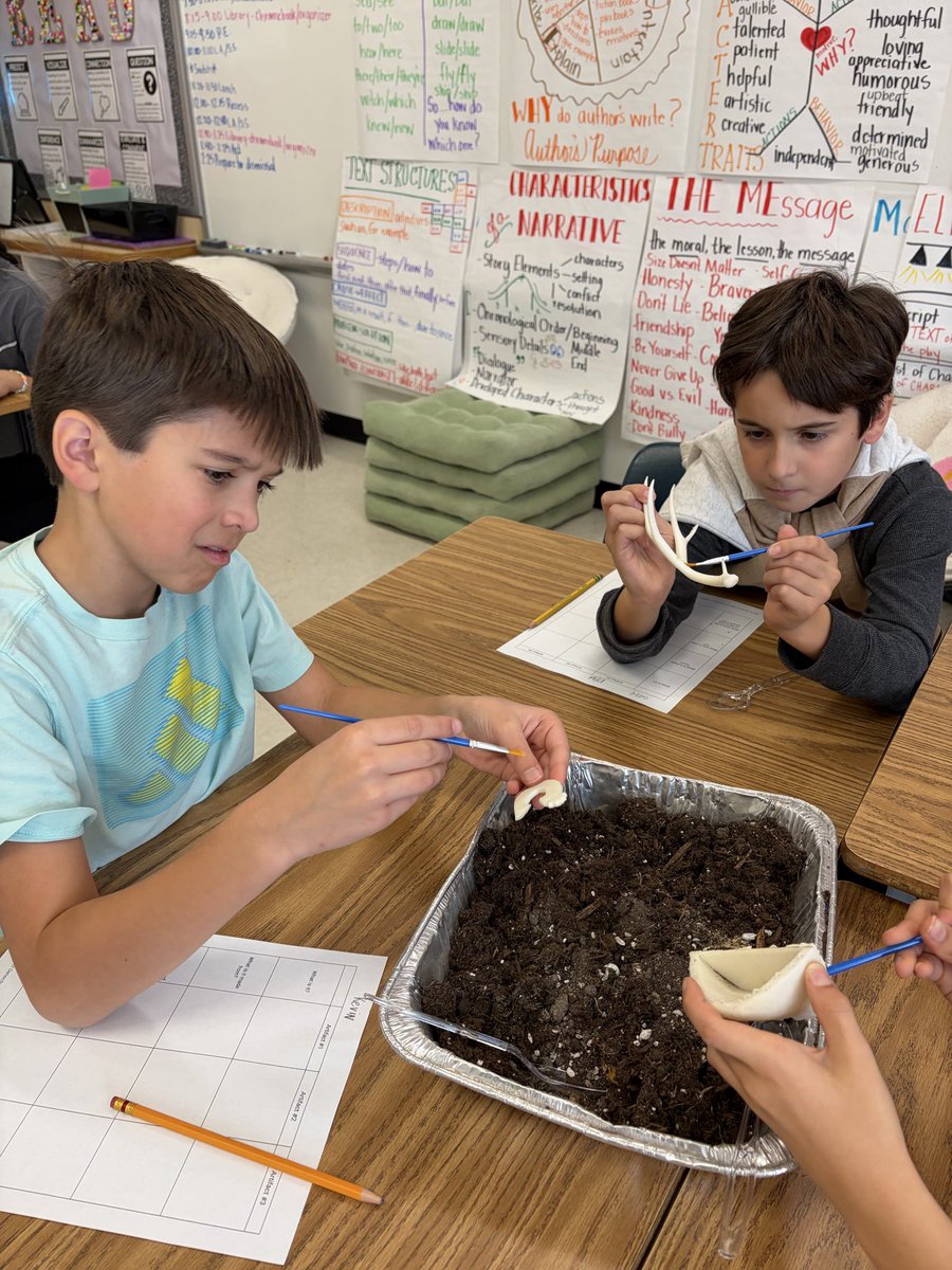 Michelene Kesner tweet media