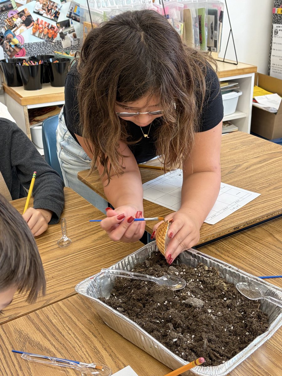 Michelene Kesner tweet media